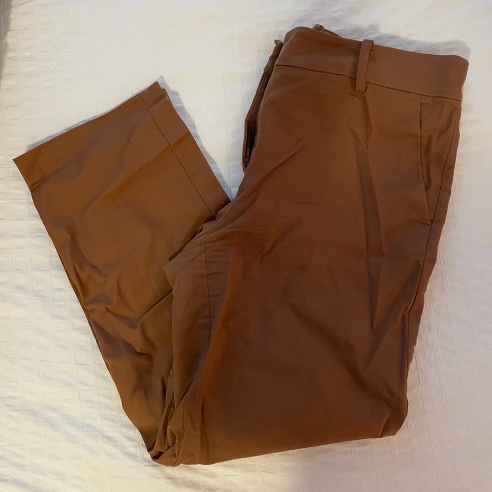 LOFT Straight Leg Dress Pants in Chestnut Brown